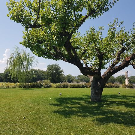 Agriturismo Villa Al Piano Todi Extérieur photo