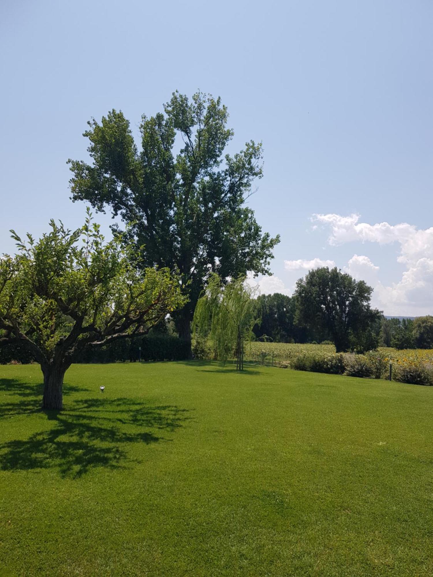 Agriturismo Villa Al Piano Todi Extérieur photo