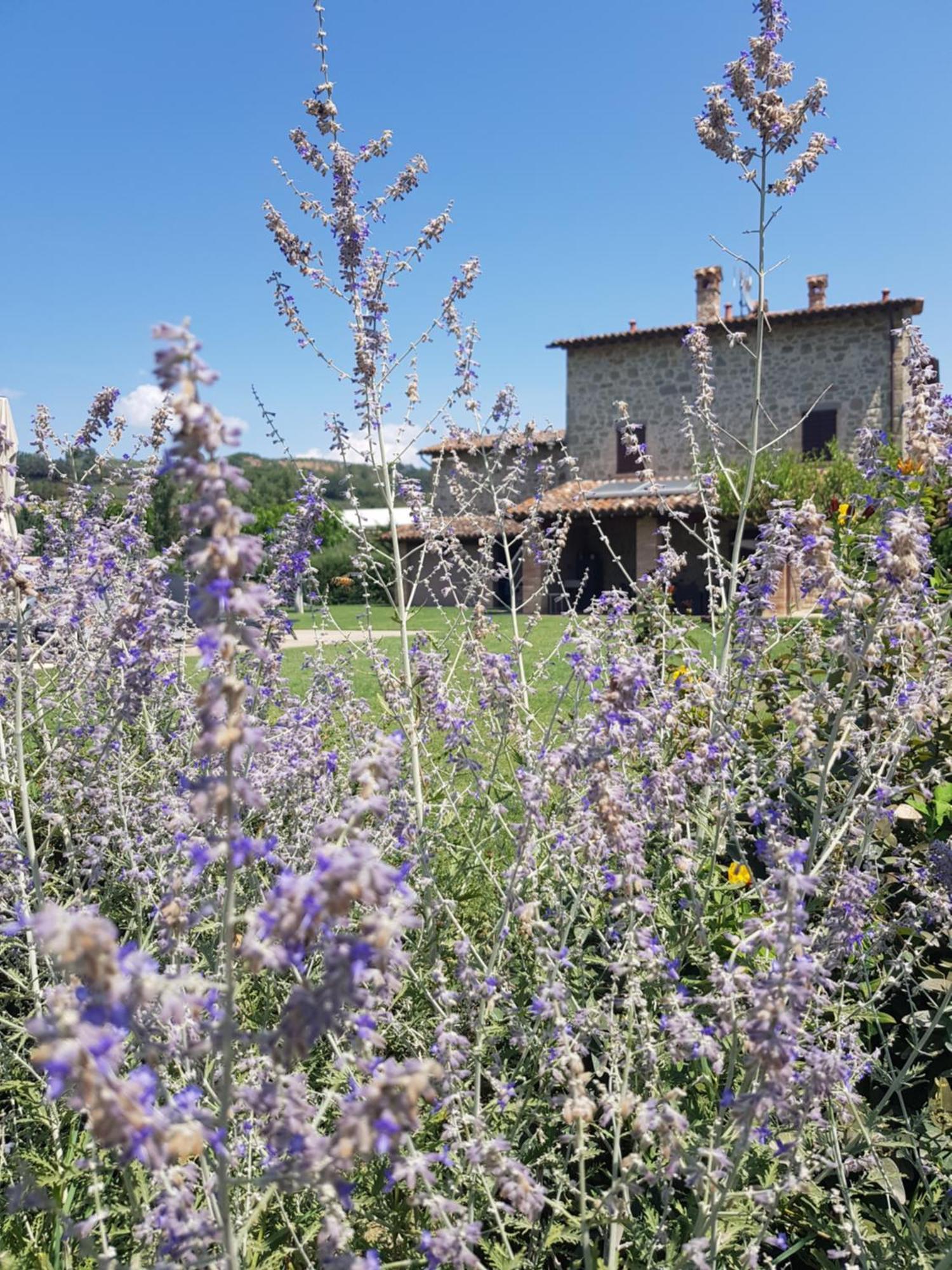Agriturismo Villa Al Piano Todi Extérieur photo
